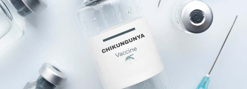 Chikungunya Vaccine