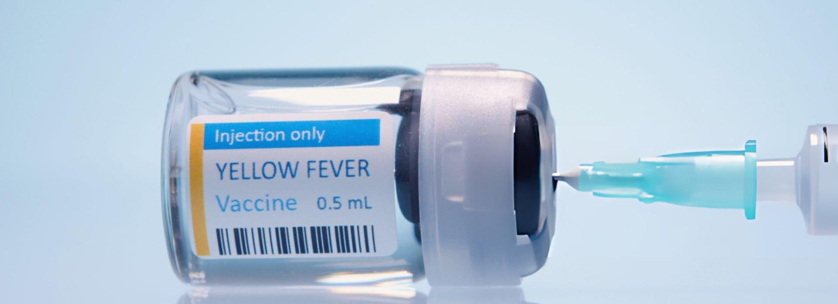 Yellow Fever